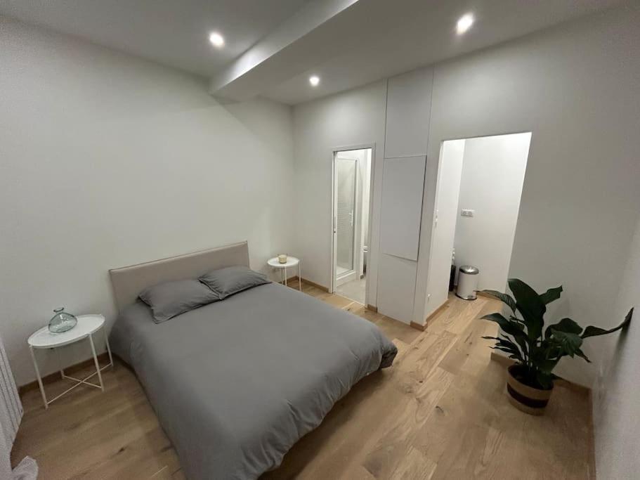 Le Magnifique, Hyper Centre Leilighet Toulouse Eksteriør bilde